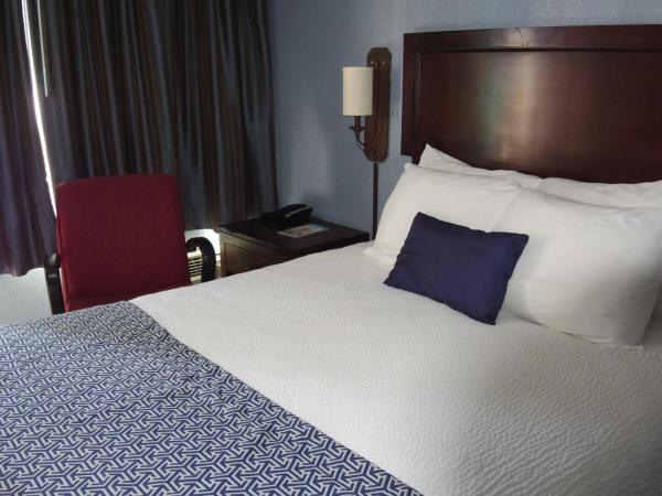 Edgewater Inn : photo 2 de la chambre chambre simple