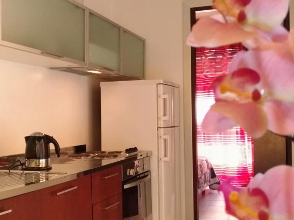 Residence Domus : photo 9 de la chambre appartement 1 chambre avec terrasse