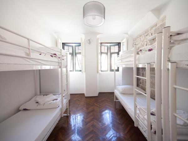 Hostel Angelina Old Town : photo 8 de la chambre lits superposés dans dortoir mixte de 12 lits