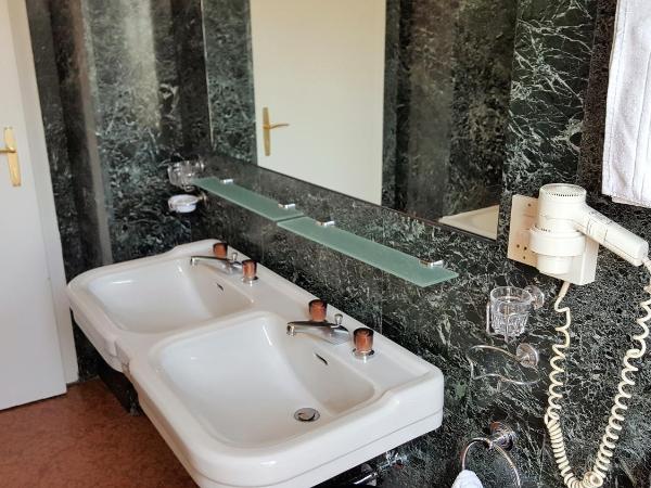 Hotel Goldene Spinne : photo 2 de la chambre chambre double