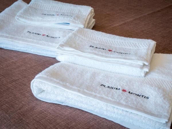 Plaium Montis : photo 7 de la chambre suite junior familiale