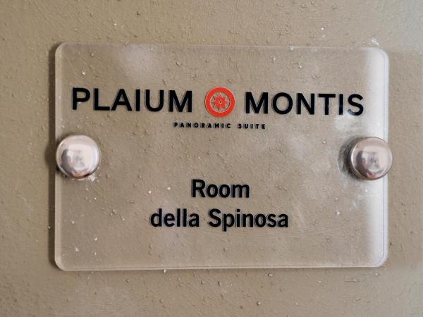 Plaium Montis : photo 2 de la chambre suite junior familiale