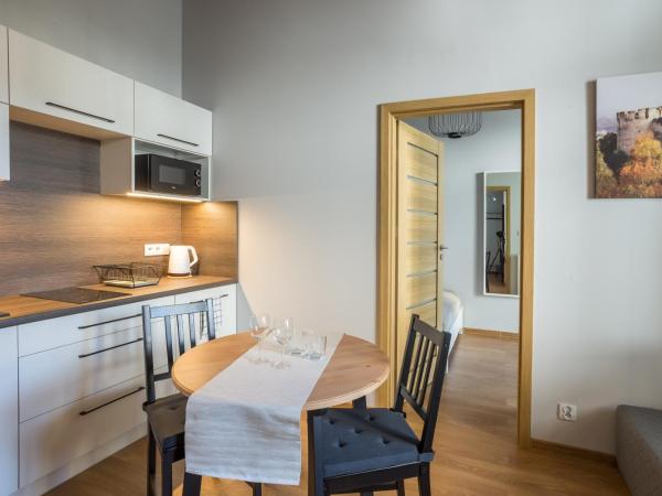 Apartamenty Centrum Częstochowa Stara Kamienica : photo 7 de la chambre appartement 1 chambre