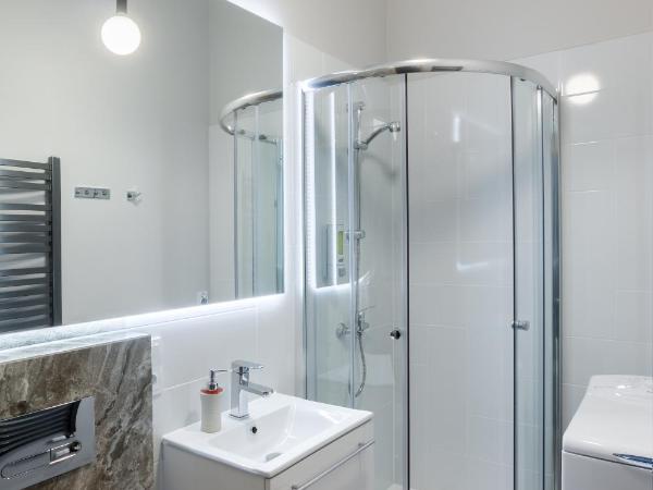 Apartamenty Centrum Częstochowa Stara Kamienica : photo 9 de la chambre penthouse