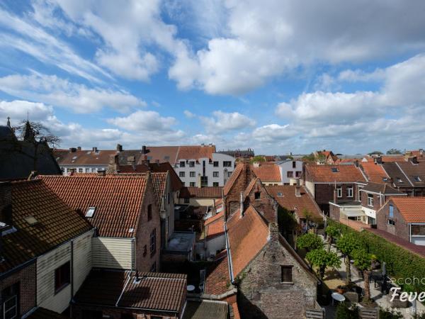 Hotel Fevery : photo 7 de la chambre chambre double standard avec balcon 