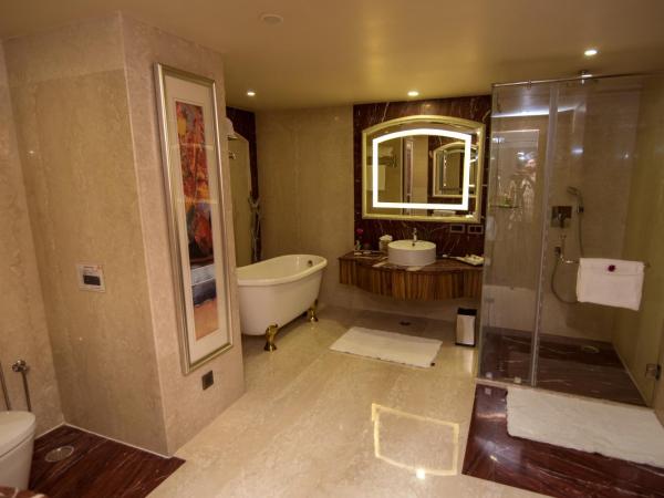 Shakun Hotels And Resorts : photo 7 de la chambre suite deluxe