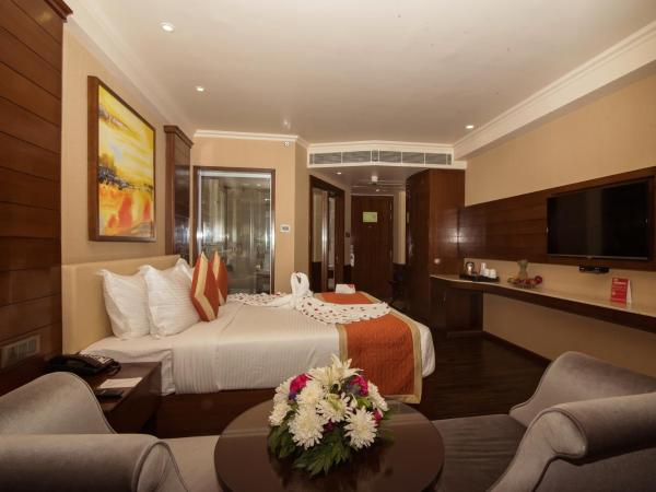 Shakun Hotels And Resorts : photo 1 de la chambre chambre deluxe double ou lits jumeaux