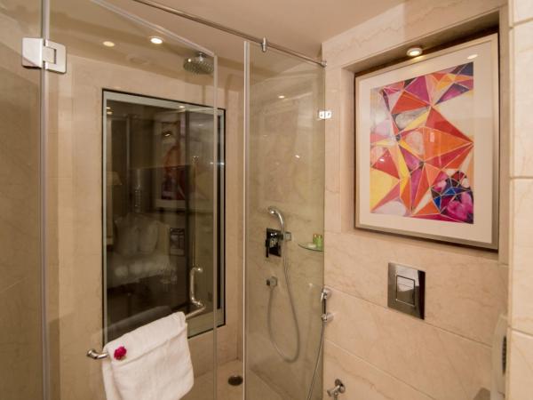 Shakun Hotels And Resorts : photo 5 de la chambre chambre deluxe double ou lits jumeaux