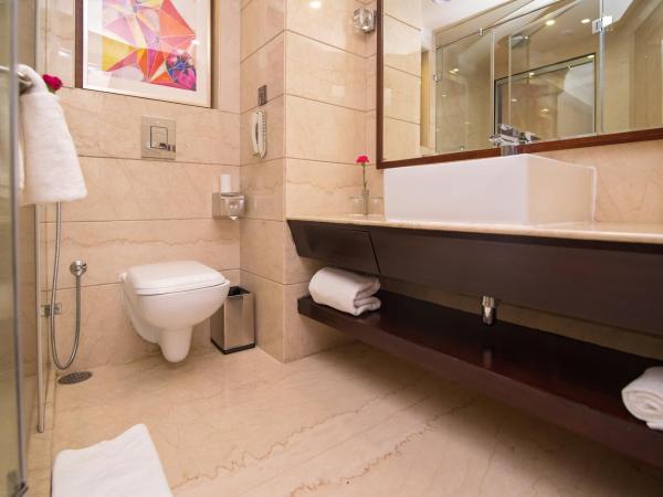 Shakun Hotels And Resorts : photo 4 de la chambre chambre double club