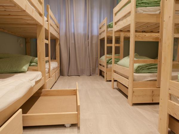 Balea Hostel : photo 4 de la chambre lit superposé dans dortoir mixte