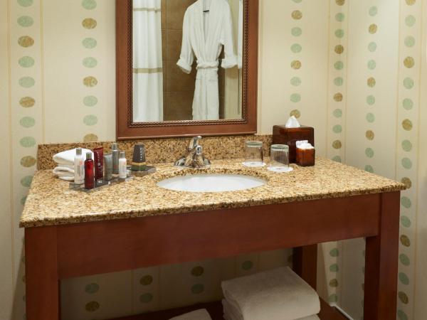 River Cree Resort & Casino : photo 2 de la chambre city view high floor room 1 king bed