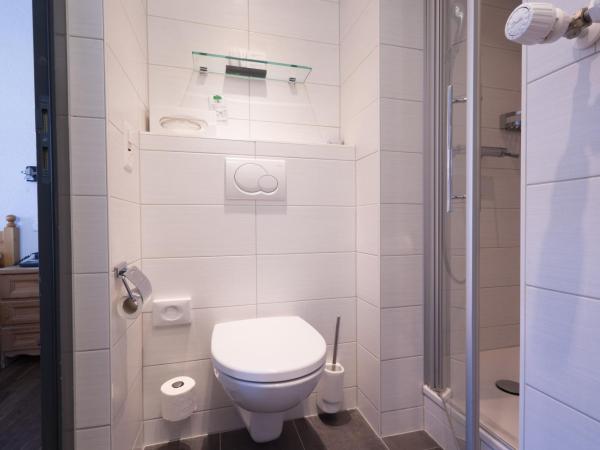 Hotel Bristol : photo 5 de la chambre chambre simple avec grand lit - vue sur montagne