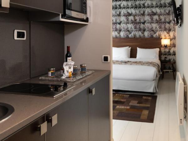 Résidence & Spa Le Prince Régent : photo 2 de la chambre studio double le sensuel