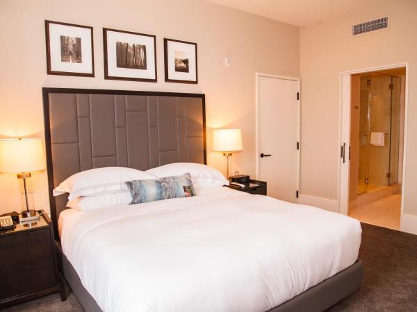 The Fairmont Heritage Place Ghirardelli Square : photo 4 de la chambre one bedroom residence with one king bed and sofa bed