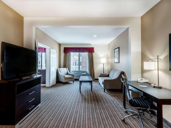 Wingate By Wyndham Houston / Willowbrook : photo 1 de la chambre suite lit king-size deluxe - non-fumeurs