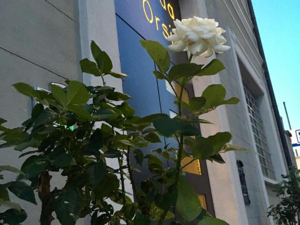 Locanda Ai Due Orsi : photo 1 de la chambre chambre deluxe double ou lits jumeaux