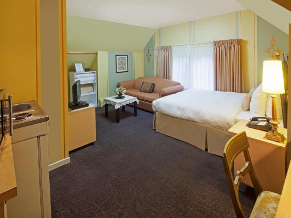 Victoria's Mansion Guest House : photo 1 de la chambre studio