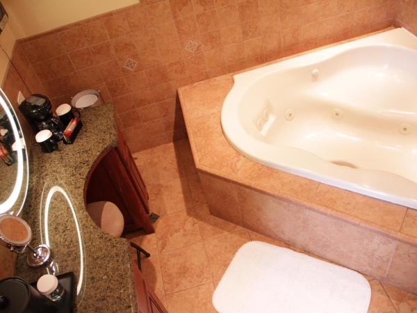 Hotel Iris - Mission Valley-San Diego Zoo-SeaWorld : photo 2 de la chambre chambre lit king-size avec baignoire spa - non-fumeurs
