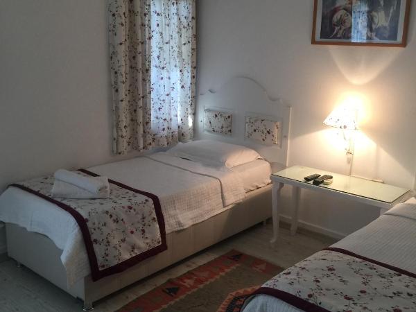 Pasha Motel : photo 2 de la chambre chambre double ou lits jumeaux standard
