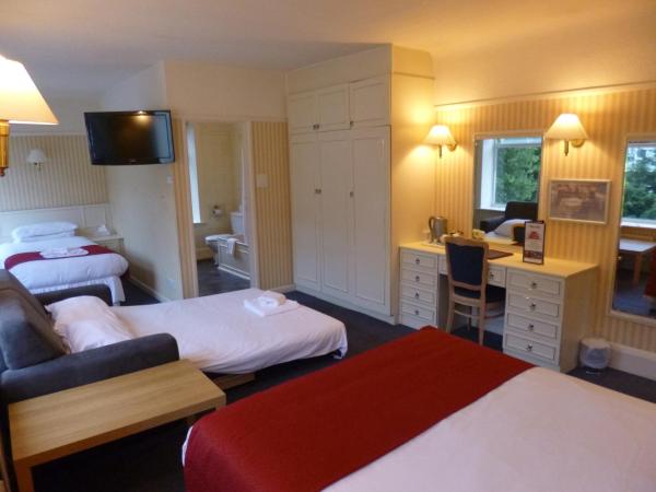 Hotel Celebrity Bournemouth East Cliff by Villare hotels : photo 4 de la chambre chambre quadruple