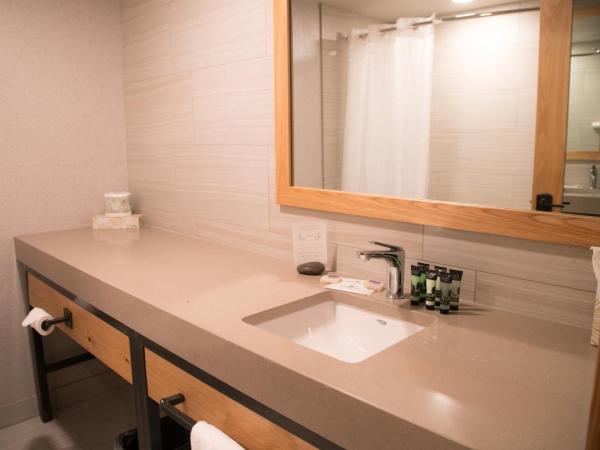 Tunnel Mountain Resort : photo 9 de la chambre studio