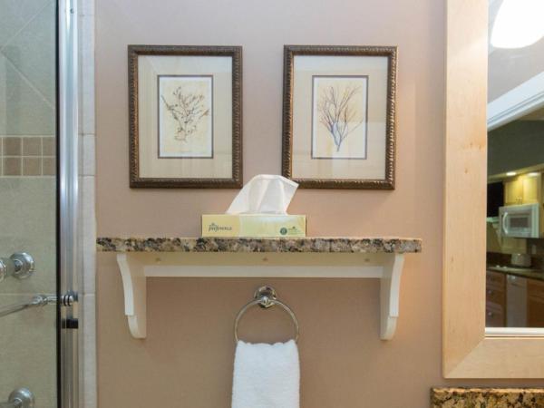 The Inlet Sports Lodge : photo 1 de la chambre studio de luxe - non-fumeurs