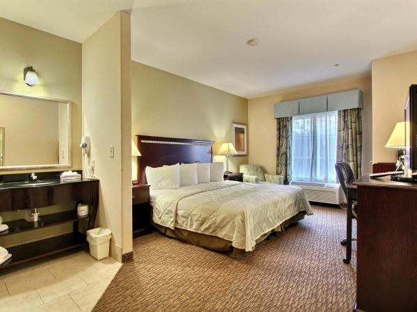 Magnolia Inn and Suites Pooler : photo 1 de la chambre chambre lit king-size - non-fumeurs