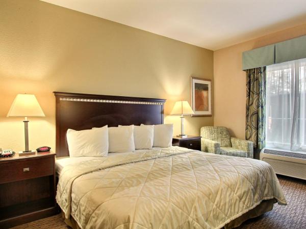 Magnolia Inn and Suites Pooler : photo 2 de la chambre chambre lit king-size - non-fumeurs