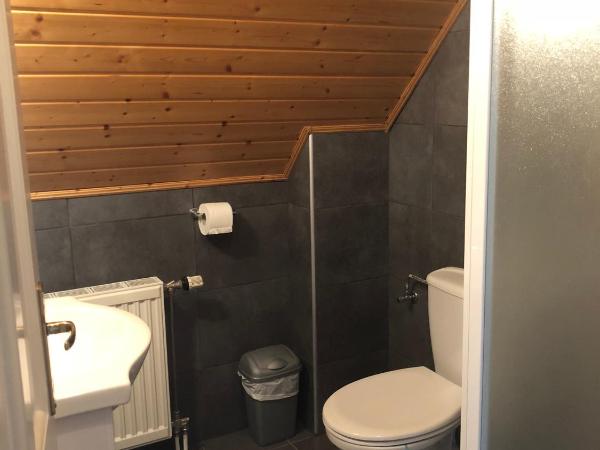 Zöldtető Panzió : photo 4 de la chambre chambre lits jumeaux standard