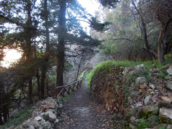 Aloe Apartments : photo 10 de la chambre studio - vue latérale sur mer