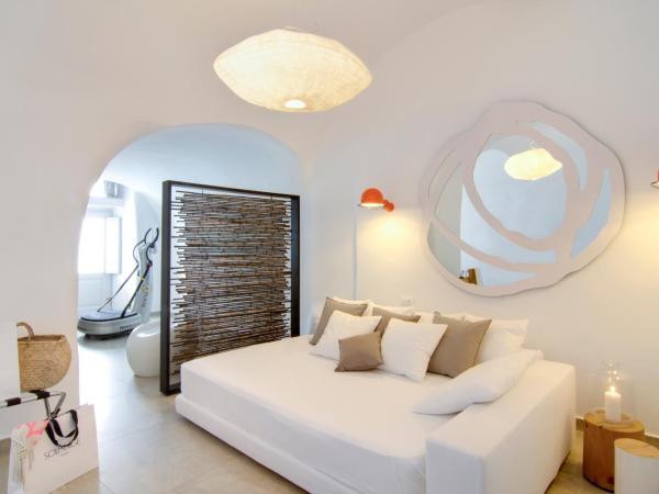 Santorini Secret Suites & Spa, Small Luxury Hotels of the World : photo 7 de la chambre grande suite avec piscine privée - vue sur caldeira