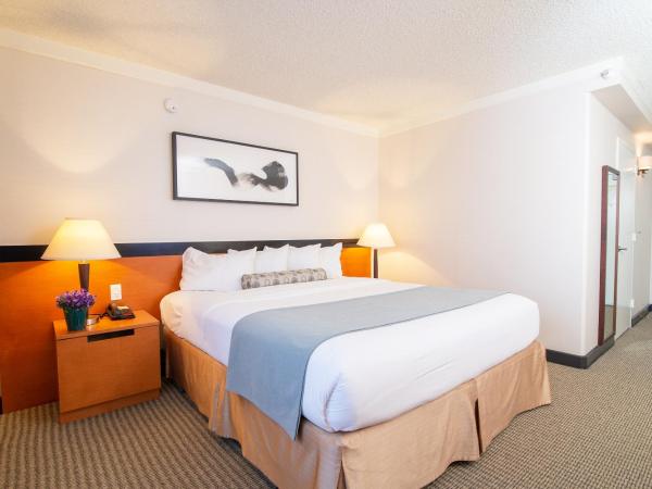 Miyako Hotel Los Angeles : photo 2 de la chambre chambre lit king-size supérieure