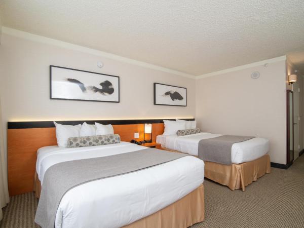 Miyako Hotel Los Angeles : photo 4 de la chambre chambre double supérieure avec deux lits doubles