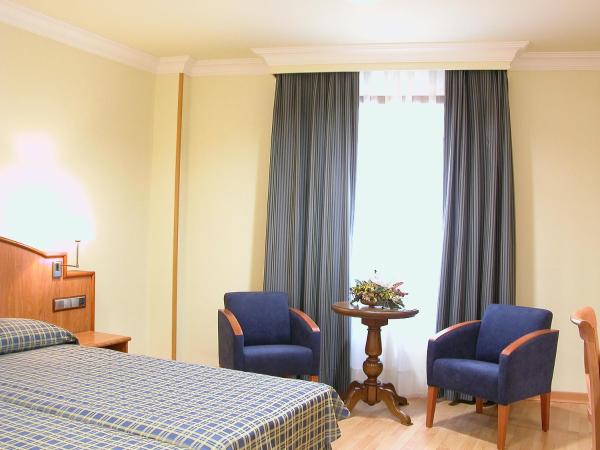 II Castillas Madrid : photo 6 de la chambre chambre double ou lits jumeaux