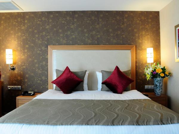 Demora Hotel : photo 3 de la chambre suite junior