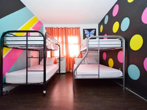 South Beach Rooms and Hostel : photo 1 de la chambre chambre quadruple premium