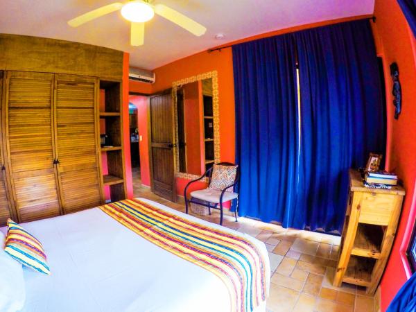 Nautibeach Beach Front Condos in North Beach : photo 9 de la chambre appartement - vue sur jardin