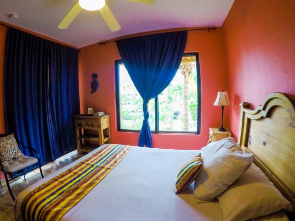 Nautibeach Beach Front Condos in North Beach : photo 10 de la chambre appartement - vue sur jardin