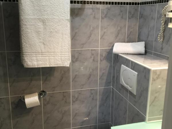 Hôtel Vendôme : photo 6 de la chambre chambre double confort climatisée