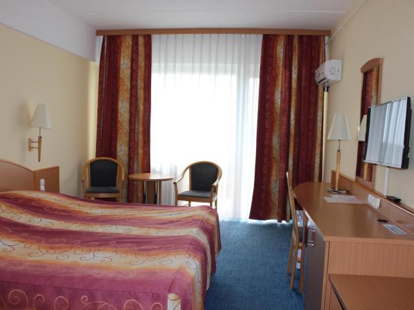 Mátyás Király Gyógy- és Wellness Hotel : photo 1 de la chambre chambre double supérieure