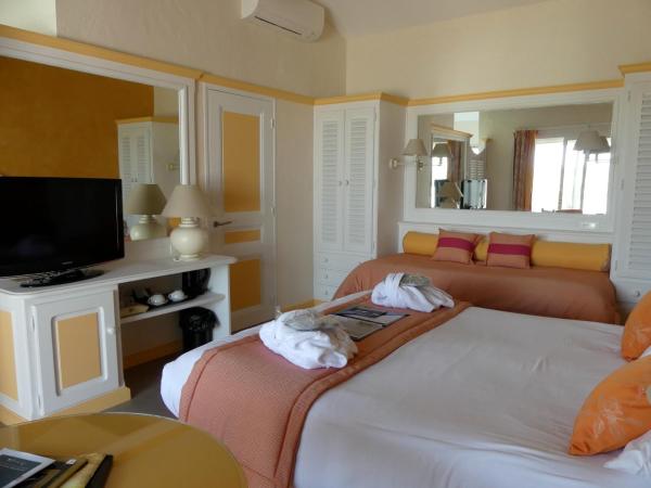 Hôtel L' Estelle en Camargue : photo 4 de la chambre chambre double supérieure