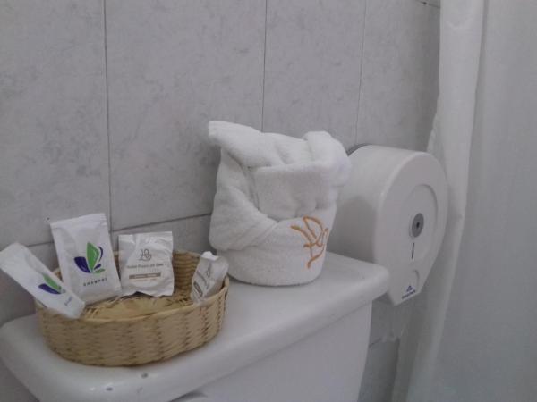 Hotel Playa de Oro - Enfrente de WTC y Plazas Comerciales : photo 7 de la chambre chambre double