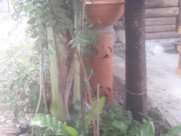 Chom Chan Guesthouse & Hostel : photo 1 de la chambre chambre lits jumeaux avec salle de bains privative