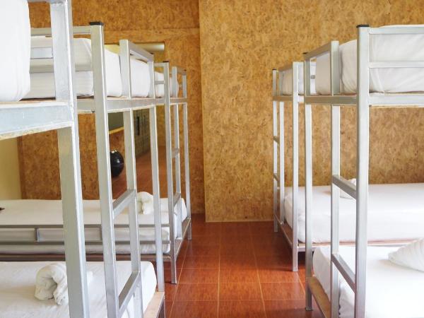 Chaokoh Phi Phi Hostel : photo 4 de la chambre lit superposé dans dortoir mixte