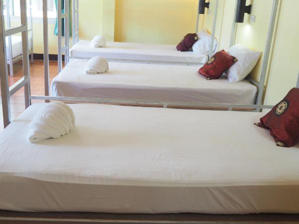 Chaokoh Phi Phi Hostel : photo 1 de la chambre lit superposé dans dortoir mixte