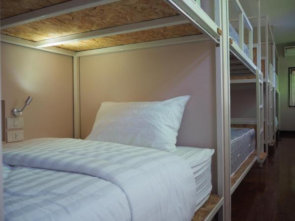 Insight Hostel : photo 3 de la chambre lit superposé dans dortoir pour femmes