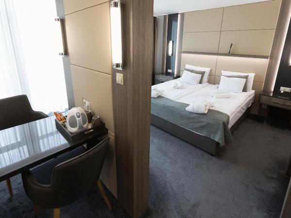 Hotel Zena Beauty & Shopping Center : photo 3 de la chambre chambre supérieure