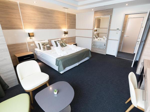 Hotel Zena Beauty & Shopping Center : photo 5 de la chambre suite deluxe