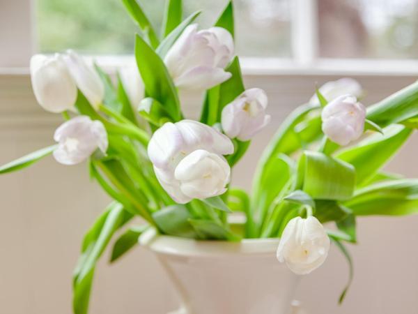 Fairholme Manor Inn : photo 1 de la chambre chambre lit queen-size