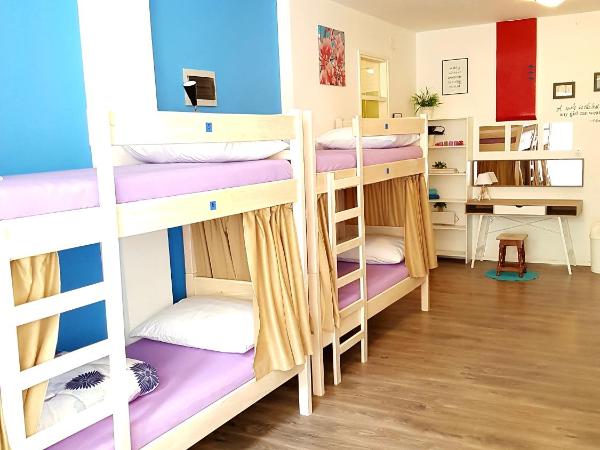 Crazy House Hostel : photo 2 de la chambre lit superposé dans dortoir pour femmes